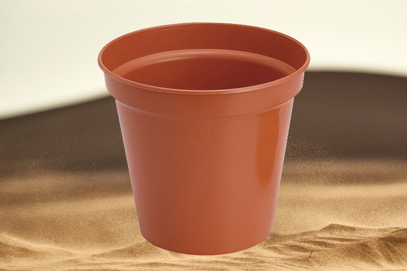 Six or eight-inch pot