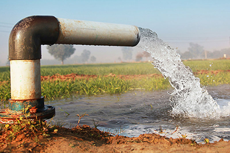 Water and Humidity - Wheat Take to Grow